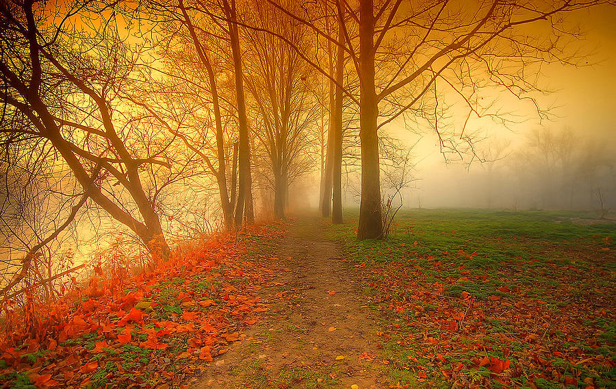 Tobacco road Photograph by George Saad - Fine Art America