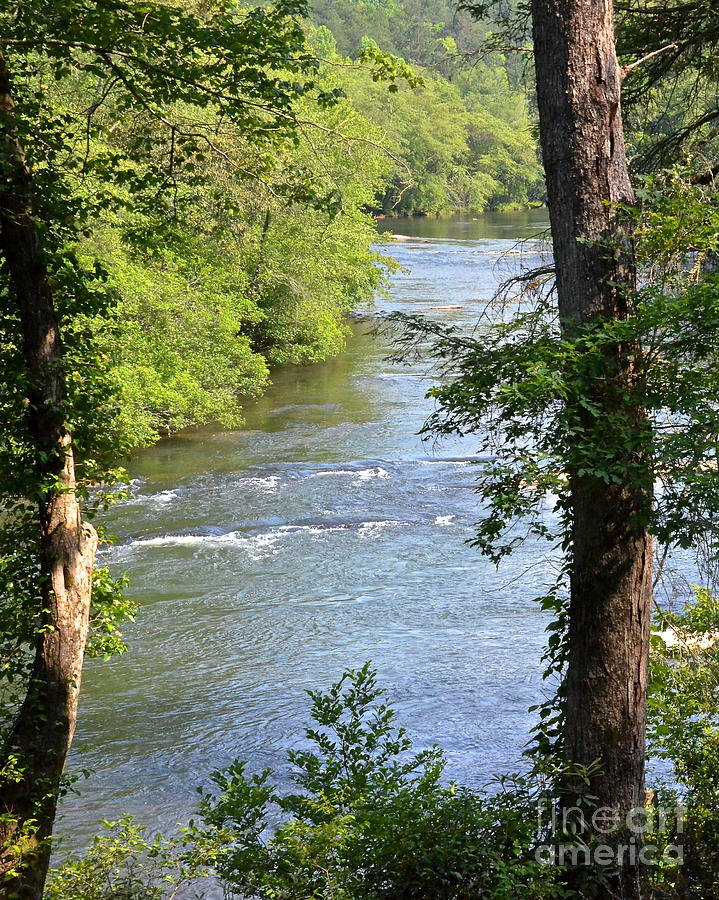 Toccoa River Photograph by Carol  Bradley