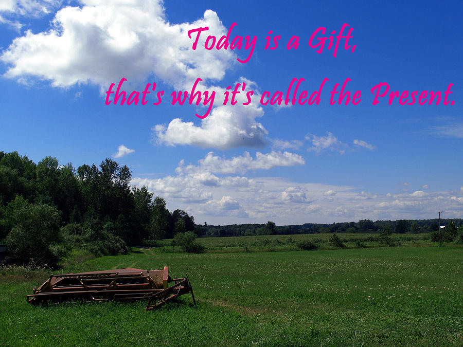 Today is a Gift Photograph by Bob Johnson