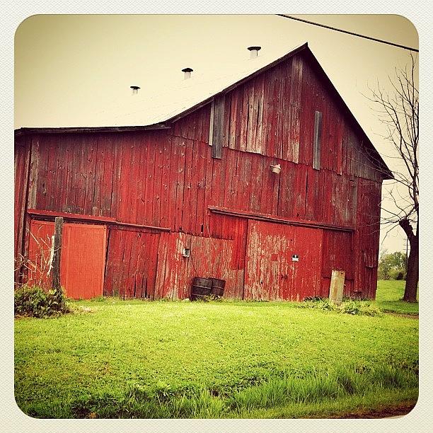 Wg Photograph - Today Was A Good Barn Day! by Roberta Robedeau