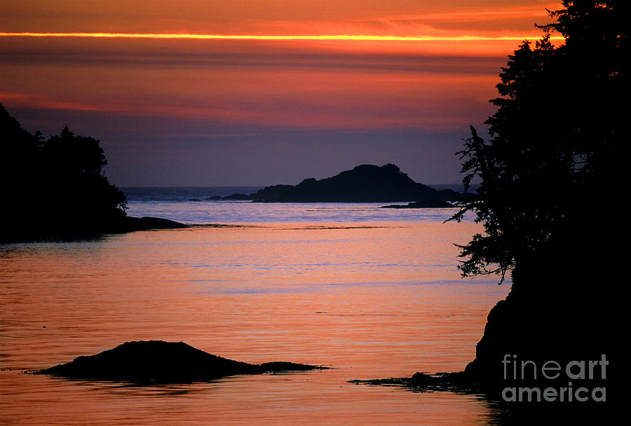 Sunset Photograph - Tofino - Sunset by Terry Elniski