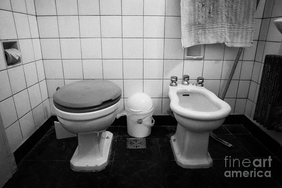 Bowl Photograph - Toilet With Closed Lid And Bidet In A Run Down Bathroom by Joe Fox