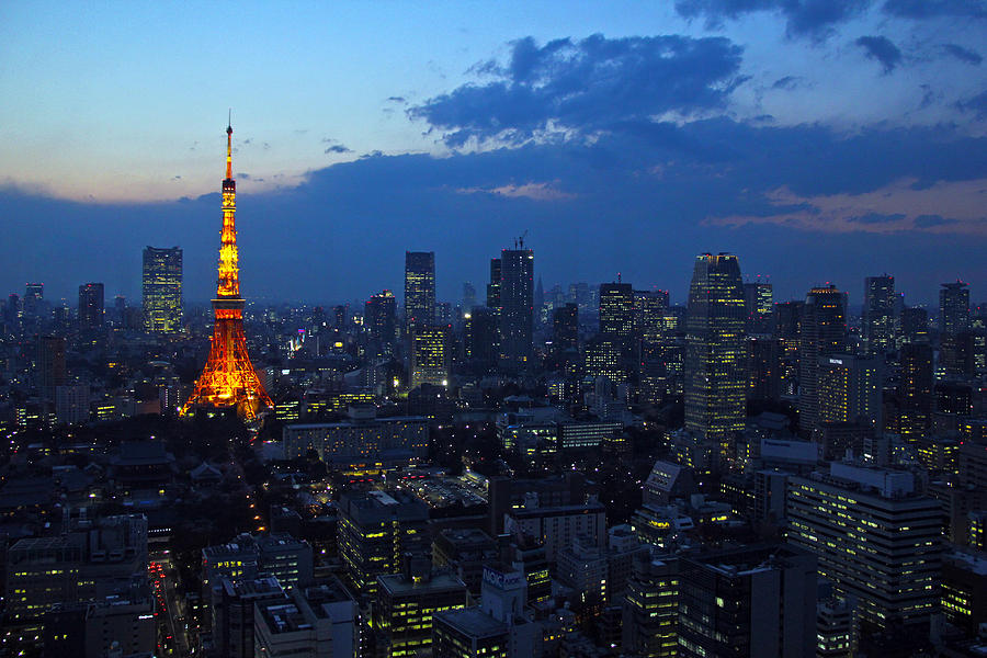 Tokyo skyline Photograph by Vaidas Bucys - Fine Art America