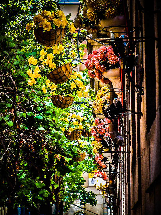 Toledo Flowers Photograph by Raf Winterpacht