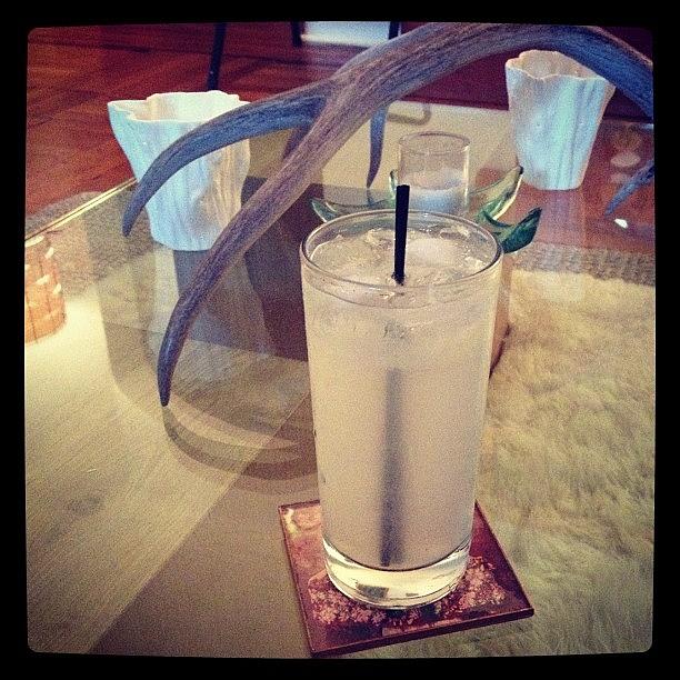 Tom Collins With Gin, St. Germaine Photograph by Prairie Rose