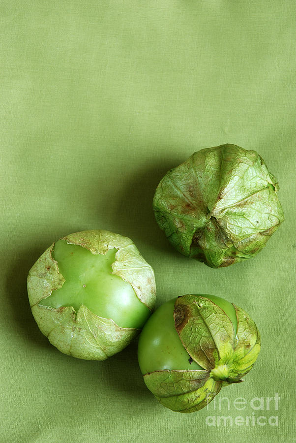 Tomatillos Photograph by HD Connelly