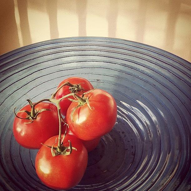Instagram Photograph - Tomatoes #instagram #photooftheday by Lynne Daley