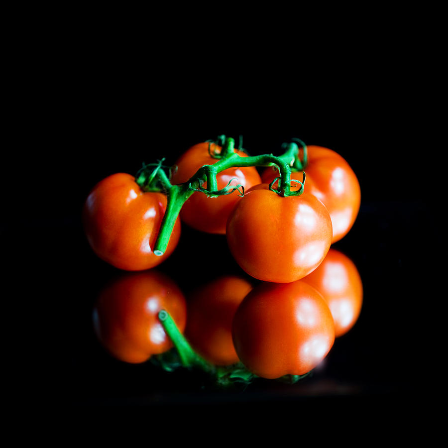 Tomatoes on the vine Photograph by Linda Olsen