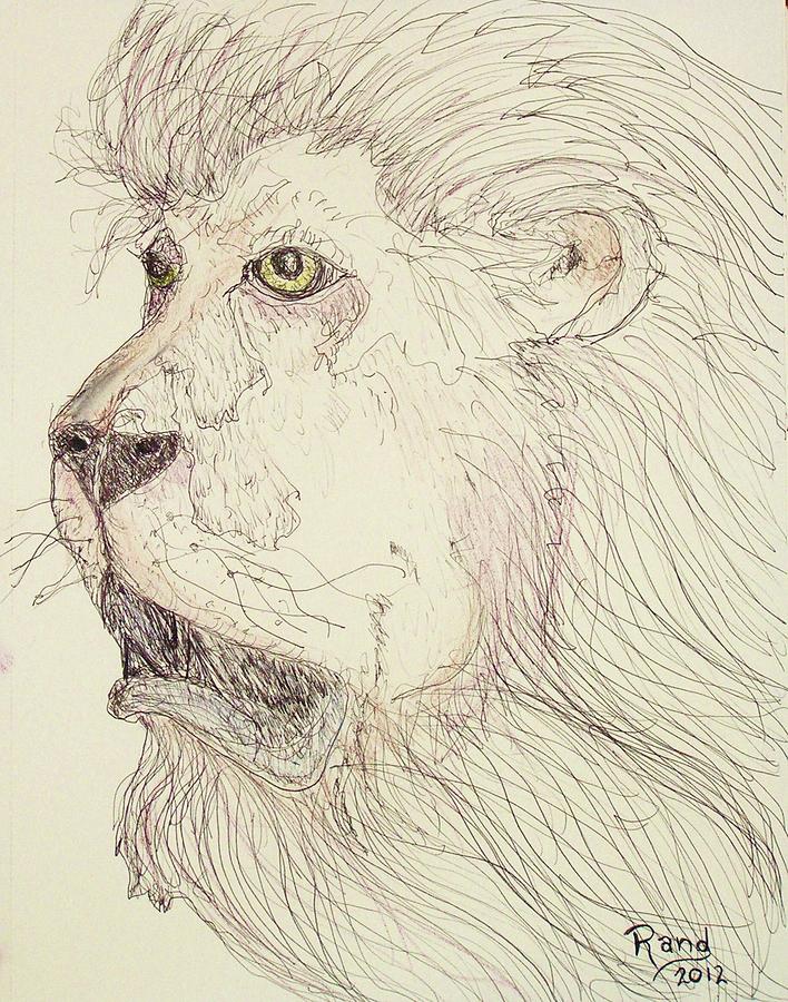 Jungle Drawing - Tonight The Lion Will Not Sleep by Rand Swift