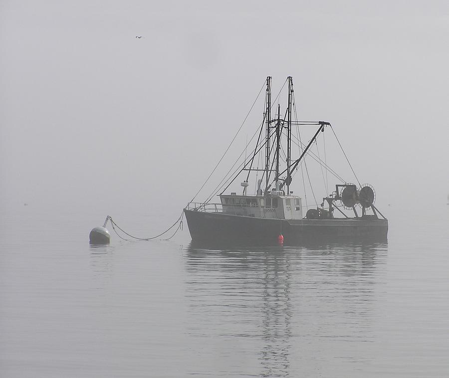 Too Foggy To Fish Photograph by Sven Migot