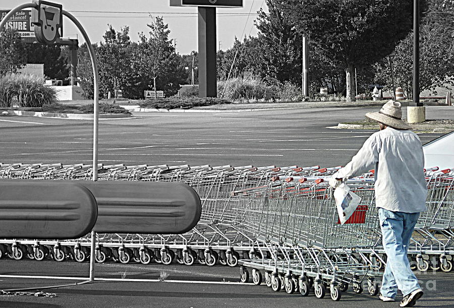 Too Many Carts Photograph by Renee Trenholm