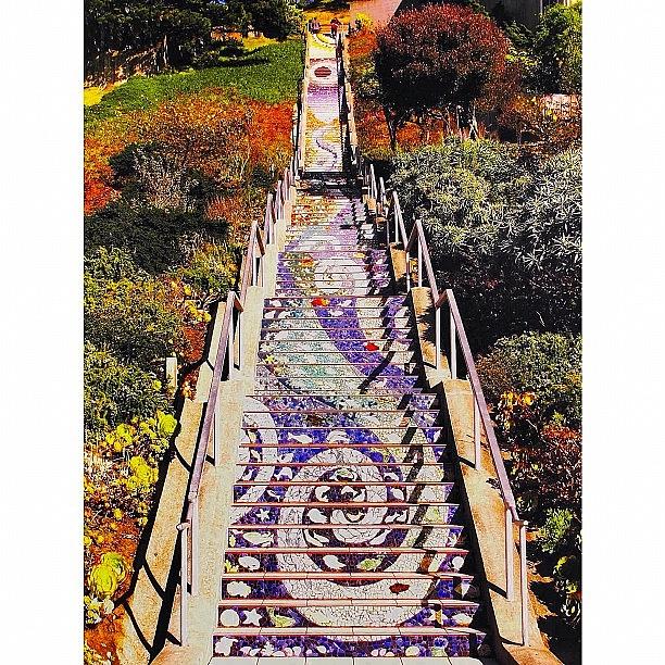 San Francisco Photograph - Took These 163 Steps Of Mosaic Art At by Karen Winokan