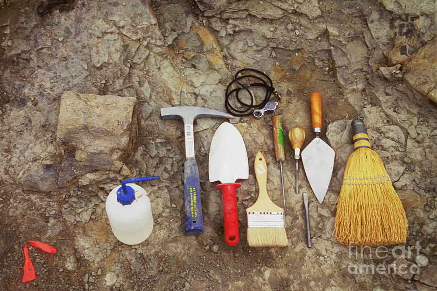 Tool Photograph - Tools Used To Excavate Dinosaur Fossils by Ted Kinsman