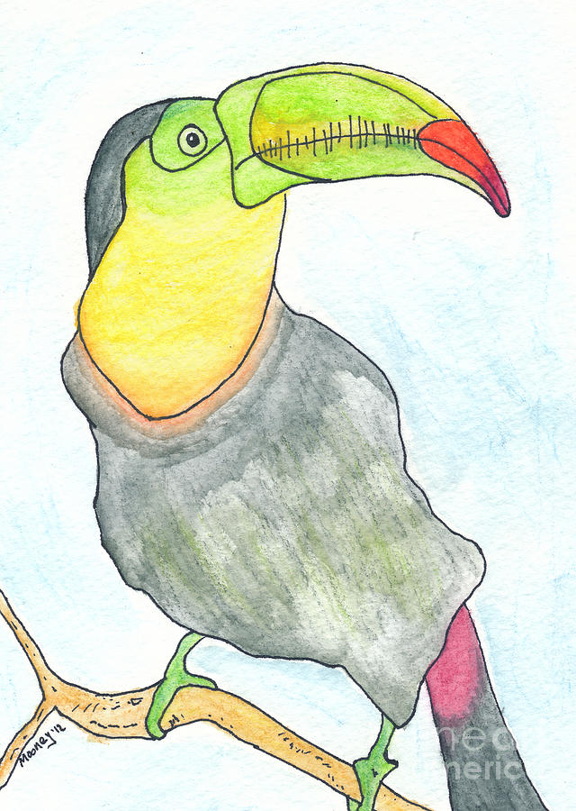 Toucan Bird Drawing - Tooooouc by Mike Mooney