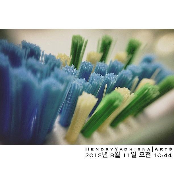 Nature Photograph - #toothbrush #brush #dental  #한국 by Hendry Yadhisna