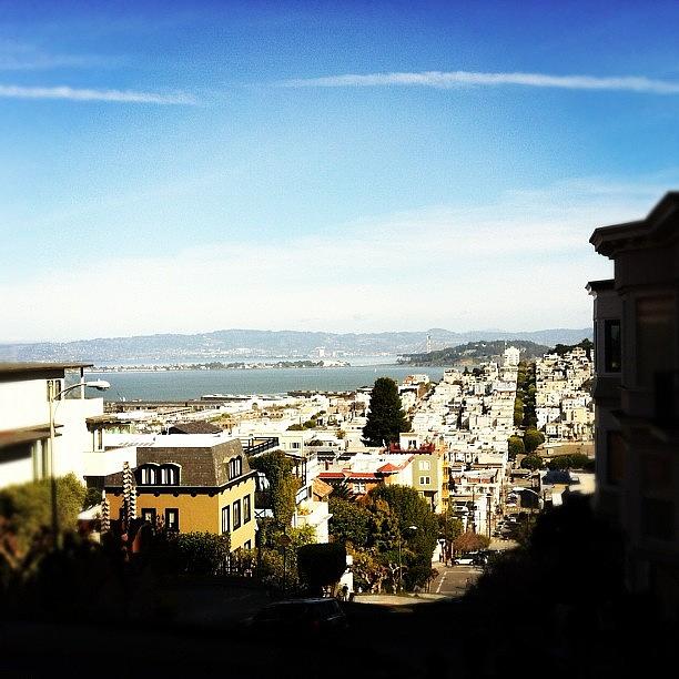 Top Of Lombard - San Francisco Photograph by Landon 👊