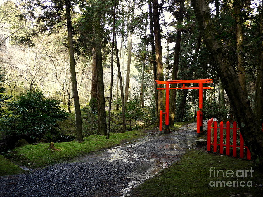 Tree Photograph - Torii in the Trees by Cathleen Cawood