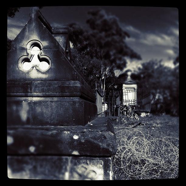 Gravestone Photograph - Torn #sydneycommunity #graveyardseries by Kendall Saint