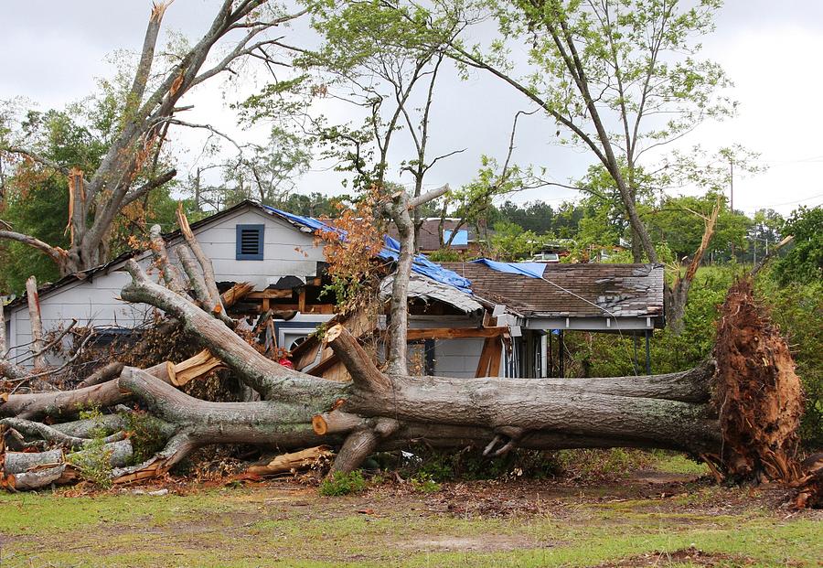 Tree Photograph - Tornado Aftermath In La Grange Georgia by Everett