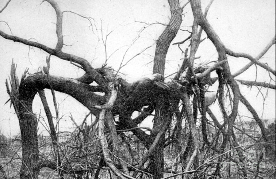 Omaha Photograph - Tornado Victim, 1913 by Science Source