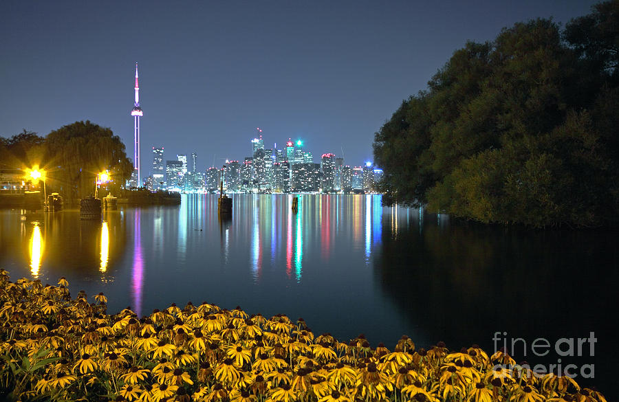 Toronto Night Skyline Photograph by Charline Xia