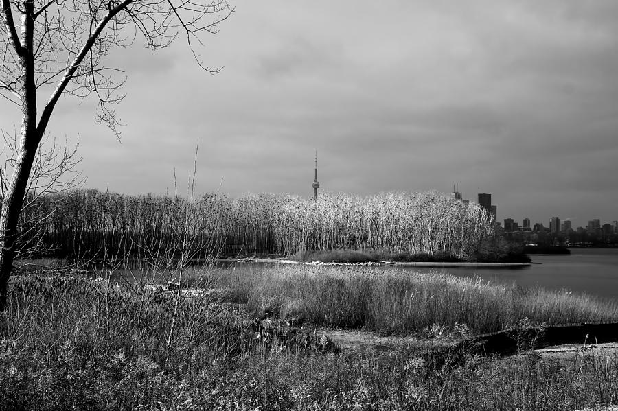 Toronto Skyline 12B Photograph by Andrew Fare