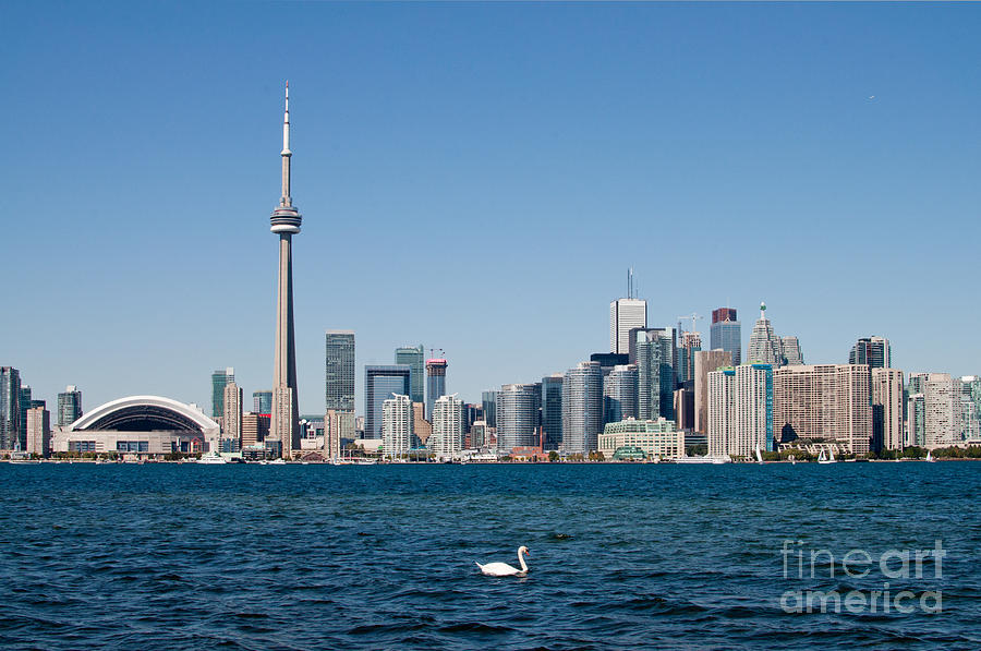 Toronto skyline Photograph by Les Palenik
