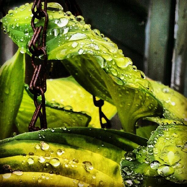 Instagram Photograph - #torquay #devon #rainyday #rain by Rachel Lavender