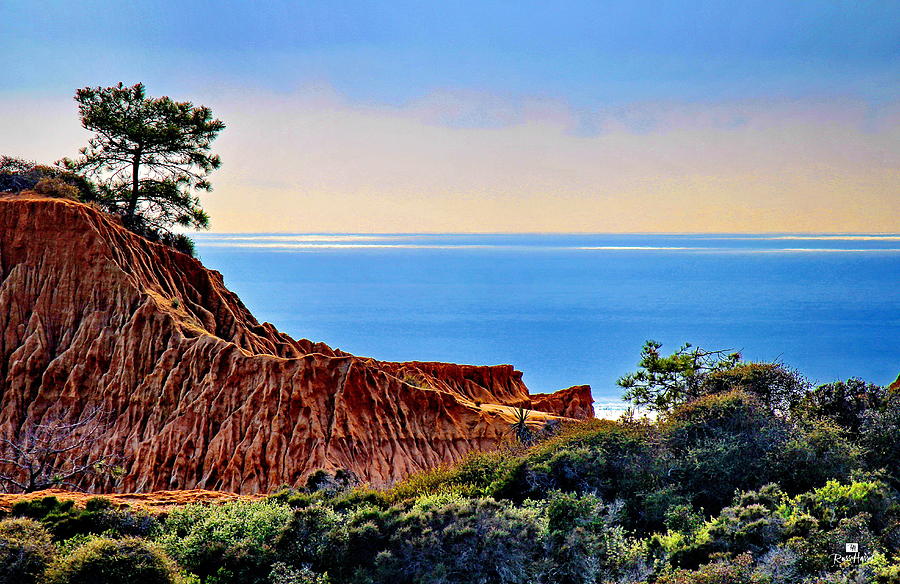 Torrey Pine Look Out Photograph by Russ Harris