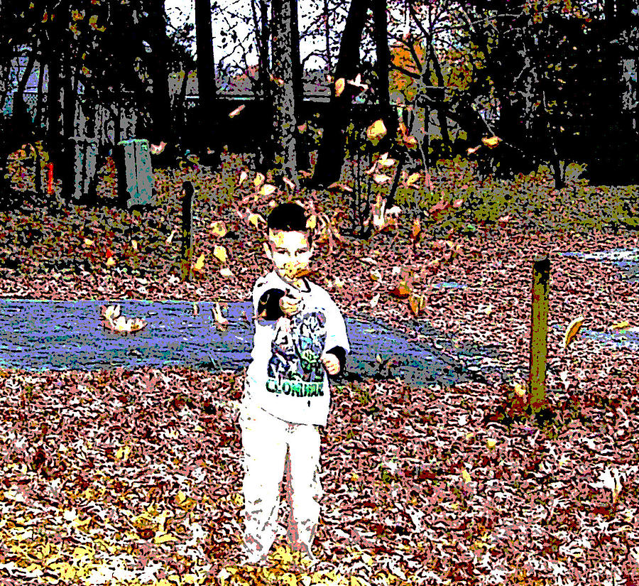 Tossing Leaves Photograph by Pamela Hyde Wilson