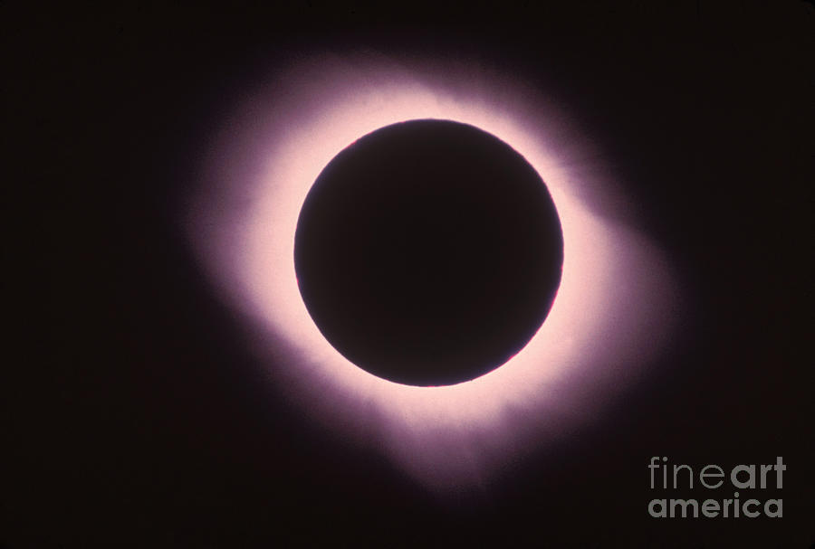 Space Photograph - Total Solar Eclipse With Corona by Science Source