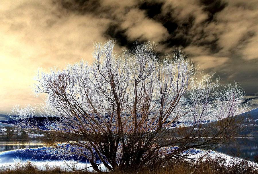 Touch Of Frost Digital Art by Will Borden