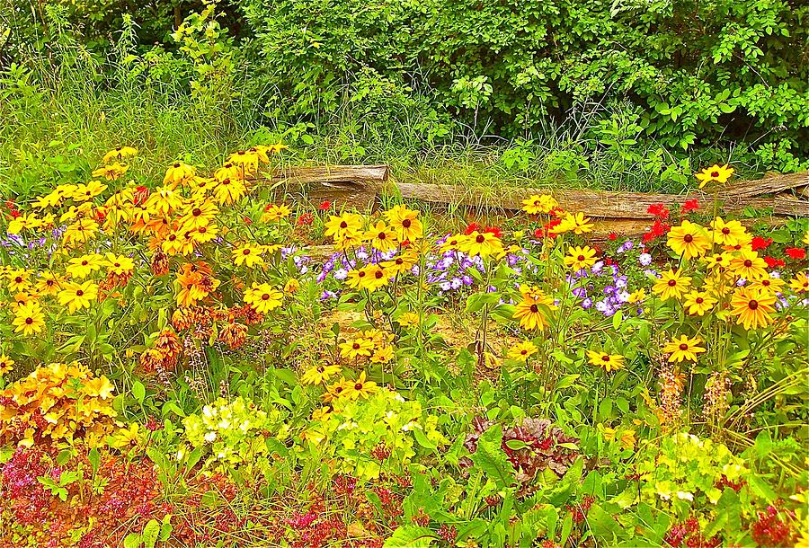 Touche Fencing with Flowers Photograph by Randy Rosenberger