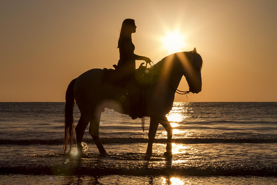 Touched by Heaven Photograph by Janet Fikar | Fine Art America