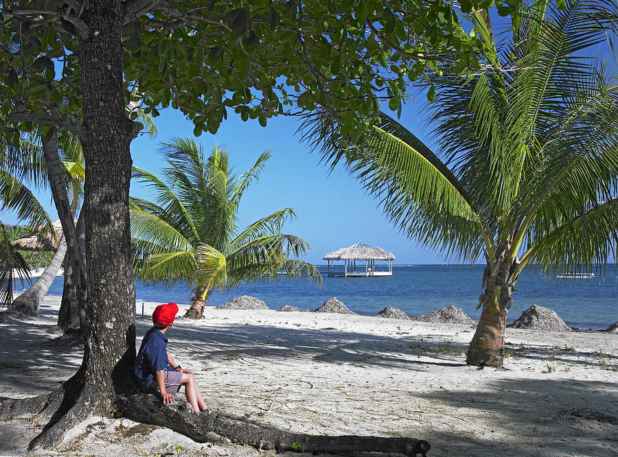 Tourist Resting Under Palm Trees Photograph by Tim Fitzharris