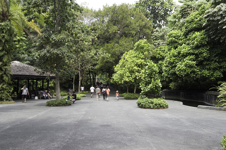 Tourists inside the Singapore Botanic Garden Photograph by Ashish Agarwal