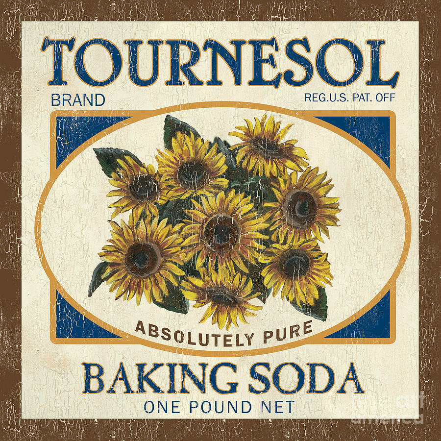 Tournesol Baking Soda Painting by Debbie DeWitt
