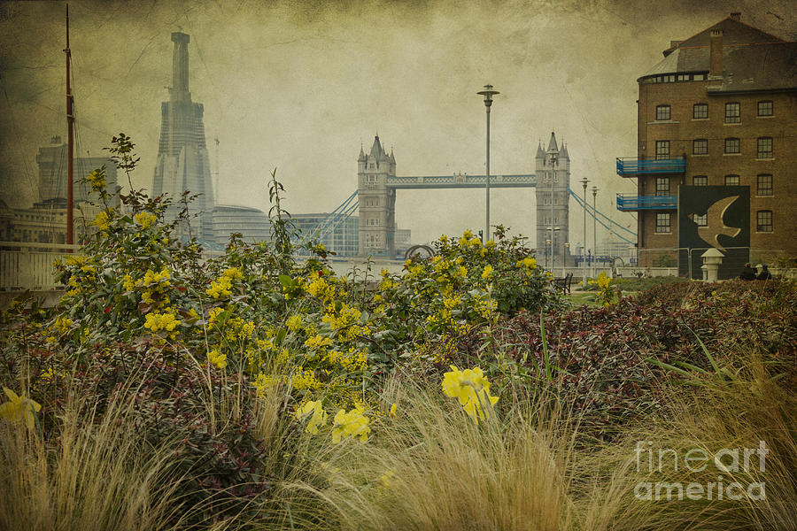 Tower Bridge in Springtime. Photograph by Clare Bambers