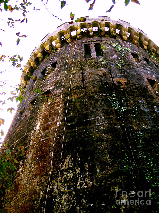 Castle Photograph - Tower Butron Castle by Iris Vanessa Hood