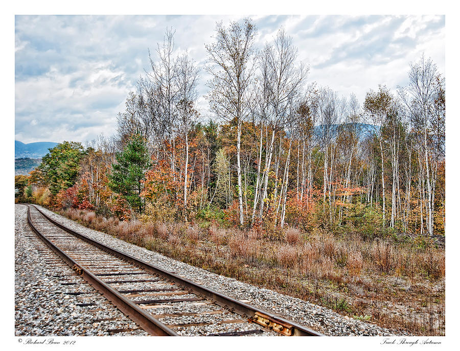 Track Through Autumn Photograph by Richard Bean