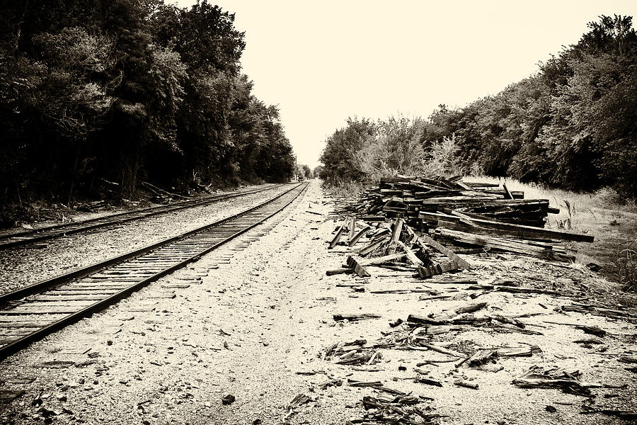 Tracks and Timber Photograph by Tony Grider