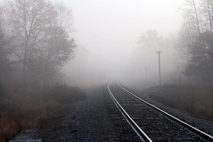 Tracks In The Fog Photograph by Mark J Seefeldt
