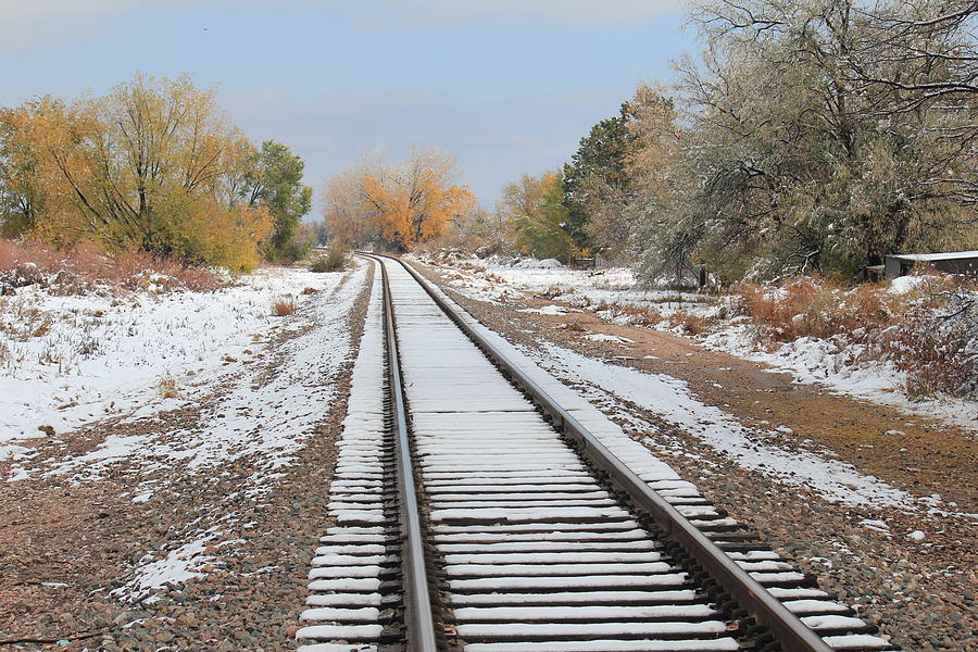 Tracks In The Snow Photograph by Trent Mallett