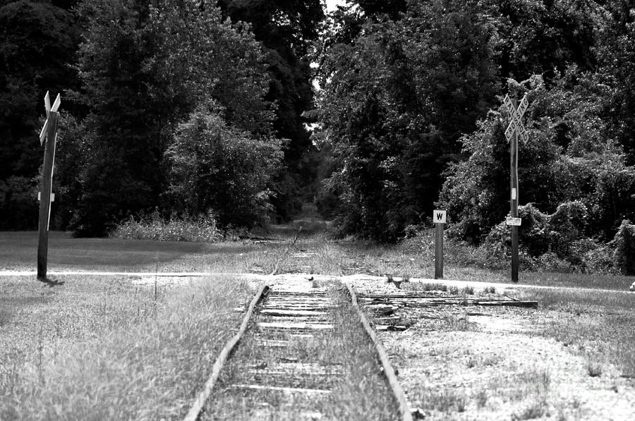 Abandoned Rails Photograph by John Black