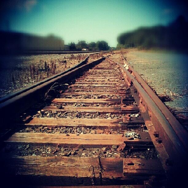 Nature Photograph - Tracks by Tina Marie