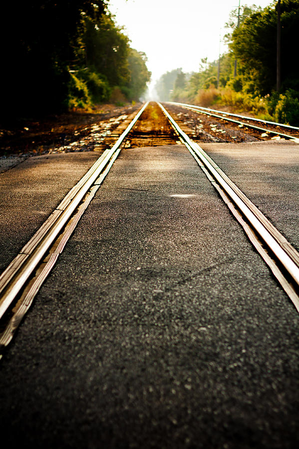 Tracks to Forever Photograph by Anthony Doudt
