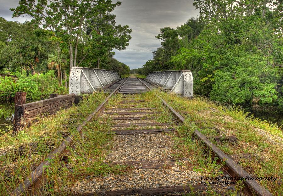Tracks to  NoWhere Photograph by Sean Allen
