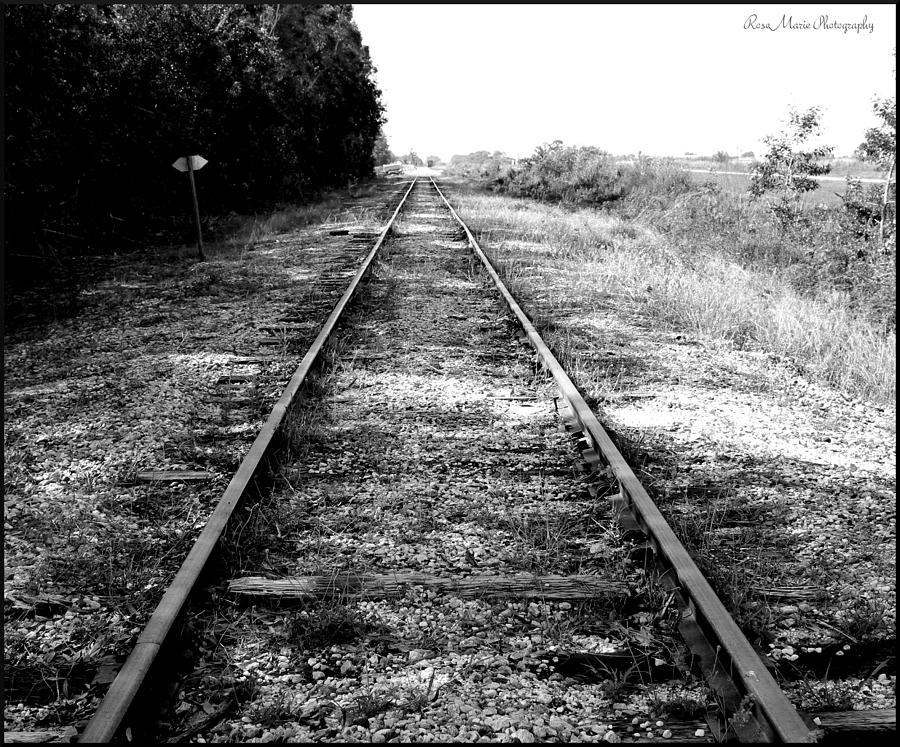 Tracks To Somewhere Photograph By Vanessa Parent Fine Art America