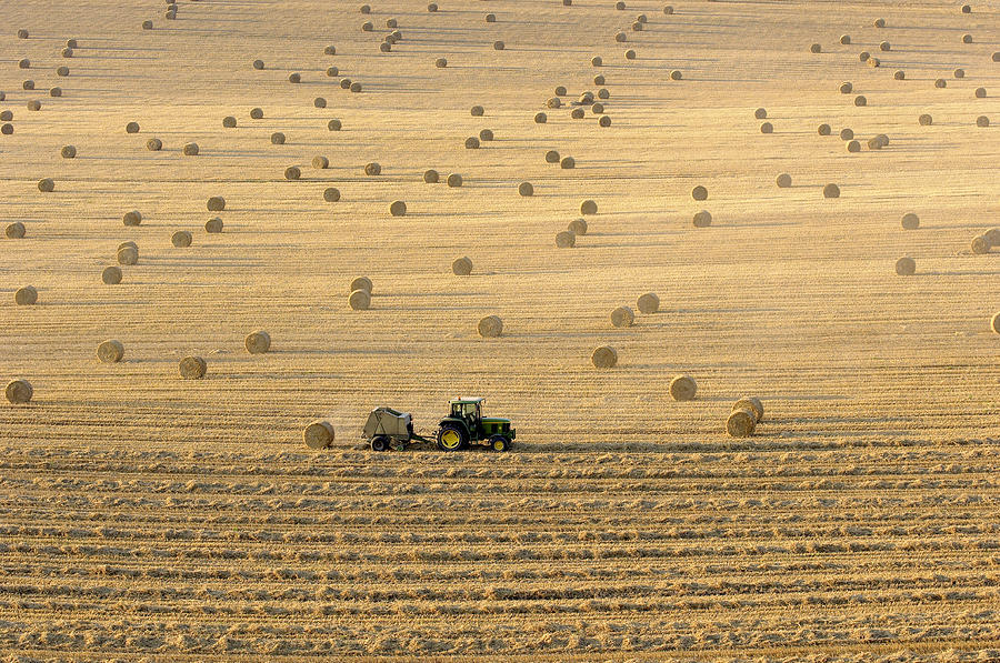 Farm Photograph - Tractor Harvesting Straw by Jeremy Walker