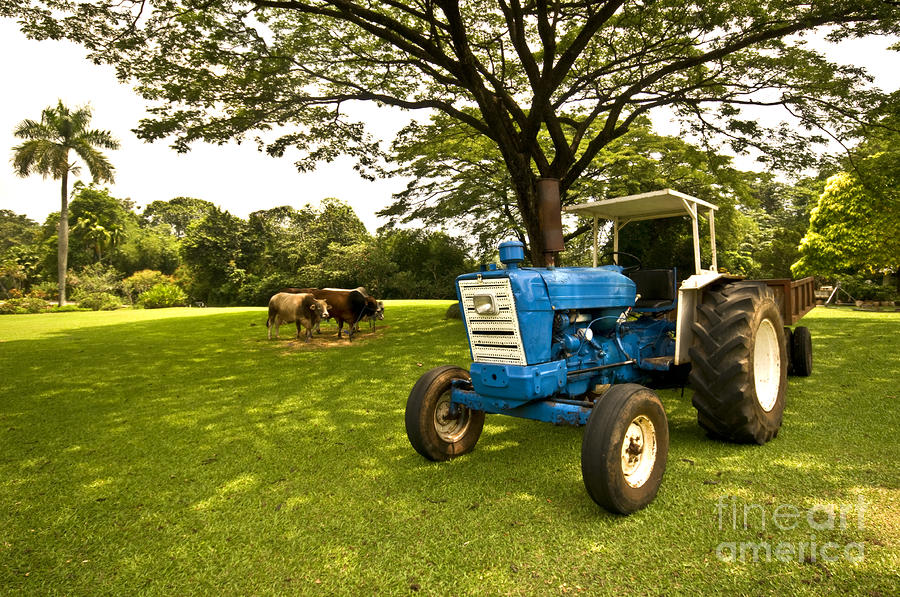 Tractor In The Farm Photograph by Charuhas Images - Fine Art America